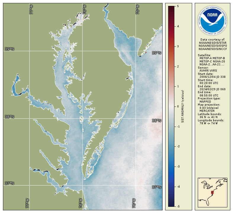 Map of sea surface temperature anomalies as observed by satellite, winter 2024-25